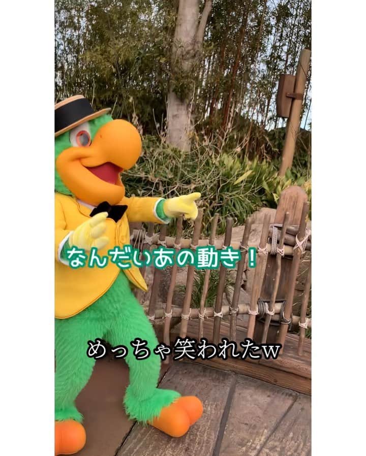 日岡なつみのインスタグラム：「ホセグリ二連発🦜 ∵ ホセを傷つけちゃった…と思ったら、 めっちゃ笑われるの巻🤢 ∵ #ディズニー #東京ディズニーリゾート #東京ディズニーシー #ディズニーシー #ホセ #ホセキャリオカ #ホセパン #フリグリ #グリーティング #グリ動画 #キャラグリ #disney #tokyodisneyresort #tokyodisneysea #TDR #TDS #josecarioca #ディズニー好き #ディズニー好きな人と繋がりたい」