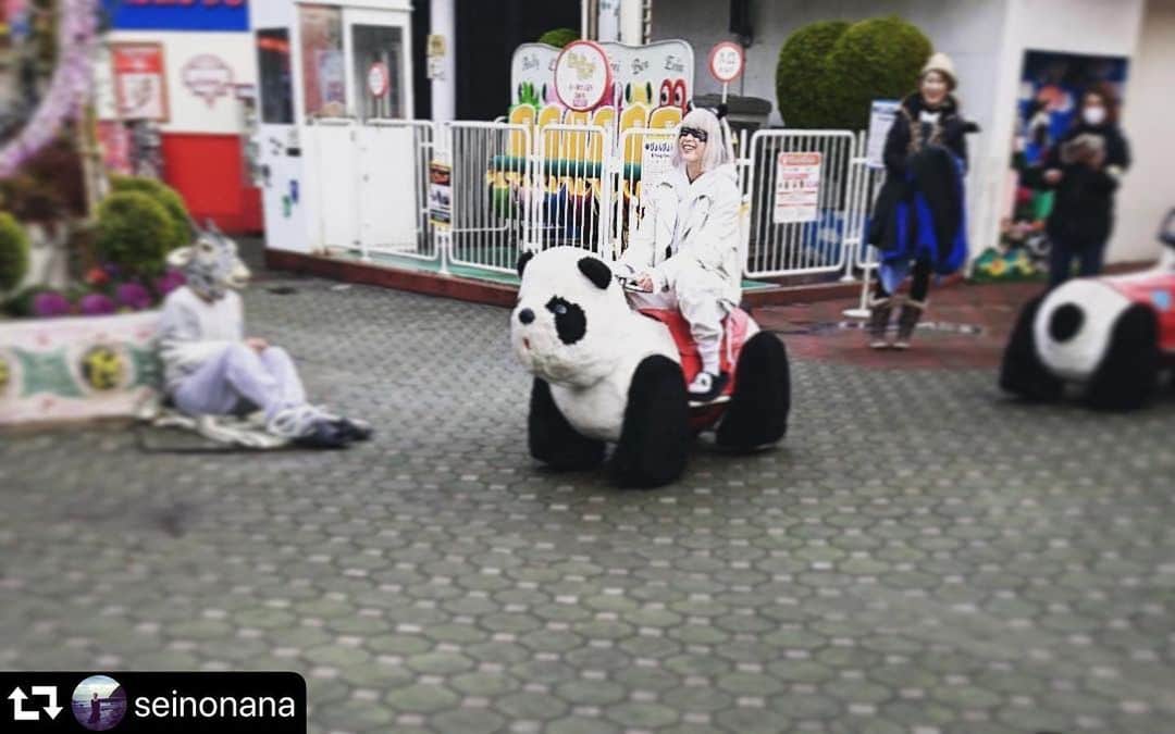 シロでもクロでもない世界で、パンダは笑う。【公式】さんのインスタグラム写真 - (シロでもクロでもない世界で、パンダは笑う。【公式】Instagram)「#repost @seinonana ・・・ どうも〜ミスパンダです。 今夜もみてね〜。 #シロでもクロでもない世界でパンダは笑う  おつかれーらいす」2月9日 22時20分 - shirokuro_drama