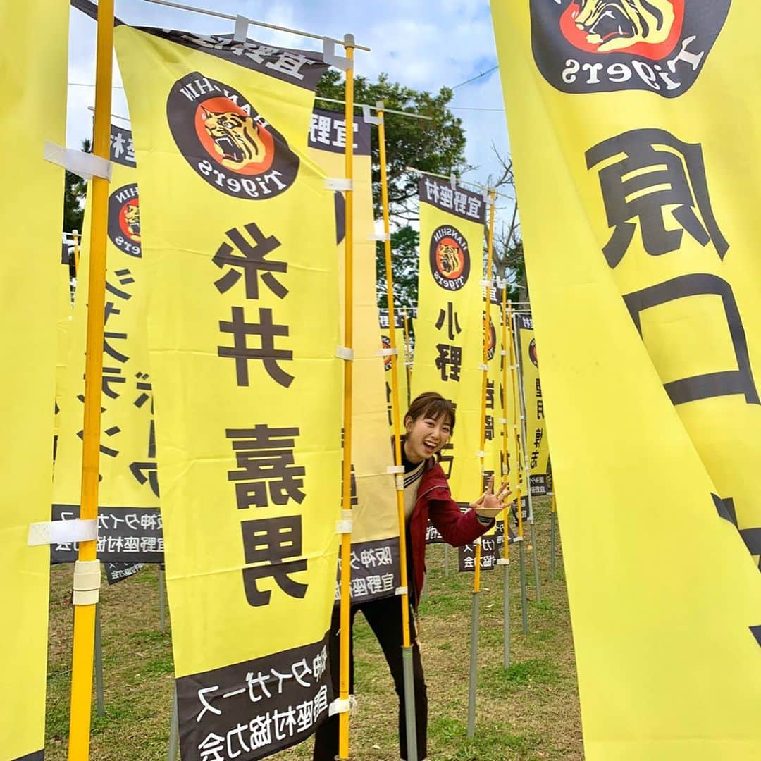 福田太郎さんのインスタグラム写真 - (福田太郎Instagram)「ハイサイ通信2020🌺⑤ ⚾︎バット振れまくりの打撃陣💪 ⠀ 阪神のキャンプ地、宜野座めんそーれ！ 今シーズン初の対外試合でした。 ⠀ キャンプ序盤は投手有利と言われますが ファイターズ戦士、打ちまくりです🔥 ⠀ 特に、#万波中正 選手、アツいです。 小笠原ヘッドコーチのもと、ハードな練習を重ね 『打席で振れるようになってますー！』と手応え。 ２安打３打点の活躍でした！しかも！ 『身体が強くなって、慣れてきました！』 と疲れながらも、成長を実感するほど😳すご。  詳しくは、あすのイチモニ！生中継で 彩織ちゃんと共に、がっちりお届けします👊 ⠀ #北海道日本ハムファイターズ #沖縄キャンプ #ファイターズ  #小笠原道大 ヘッドコーチ #侍 #ガッツさん #道 #バット 重過ぎて #カニヤバい  #イチモニ！#小俣彩織 ちゃん @osaoosao  #阪神 #糸井嘉男 選手のノボリに飲み込まれる。笑 #HTB #アナウンサー #福田太郎  #lovefighters」2月9日 22時25分 - htb_tarofukuda