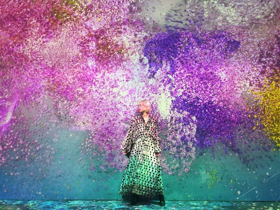 橋本江莉果さんのインスタグラム写真 - (橋本江莉果Instagram)「先日「日本一早いお花見」 @naked_inc プロデュースの #フラワーズバイネイキッド のオフィシャル写真の撮影に参加させてもらい、いち早く体感させてもらってきました🥳🌸 桜ゾーンから各色んなテーマのゾーンがあって、撮影してもらいながら、ちゃっかり楽しませてもらいました🥴💐 まだまだ寒いですが、春を感じられる素敵なイベント、3/1まで開催されてるみたいなので、プロジェクションマッピング好きの方はぜひ行ってみてください☺️💫🌟✨ #FLOWRSBYNAKED」2月9日 23時20分 - erica_hashimoto