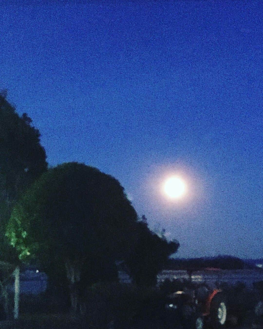 福山理子さんのインスタグラム写真 - (福山理子Instagram)「満月🌕だよ みんなも満月🌕さまに 挨拶したかな？ #満月🌕 #fullmoon #レン耐！ #差し入れありがとう #サーキットごはん #ほしいもくん #motercycle  #筑波サーキット」2月10日 1時01分 - rikofukuyama