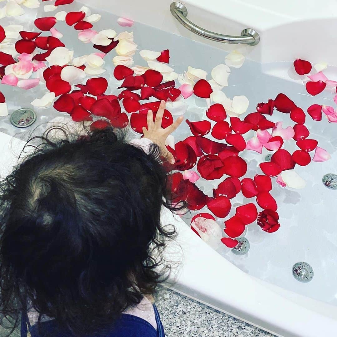 森下悠里さんのインスタグラム写真 - (森下悠里Instagram)「撮影でしかやったことないけど🙈 - 娘と一緒に花弁散らして 薔薇風呂に🌹 - 本当はもっと薔薇入れたかったけど うちのママにも綺麗な花束見せてあげたくて - 🌹大きなブーケで暫く綺麗に飾ります✨ - #薔薇風呂 #bathtime #💋」2月10日 1時27分 - yuurimorishita