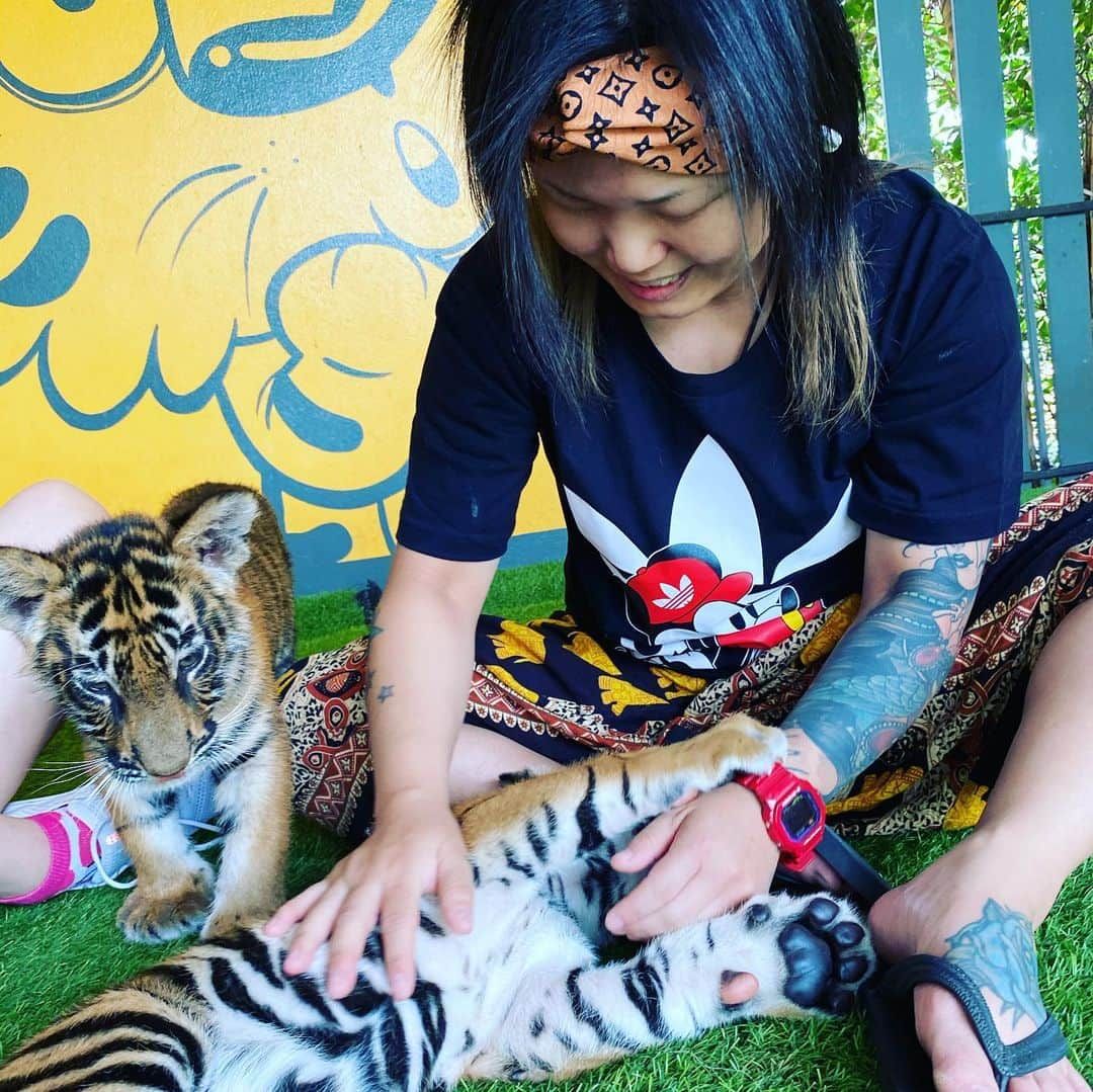 夏樹☆たいようのインスタグラム：「#thailand #tigerzoo #pattaya #mymemories」