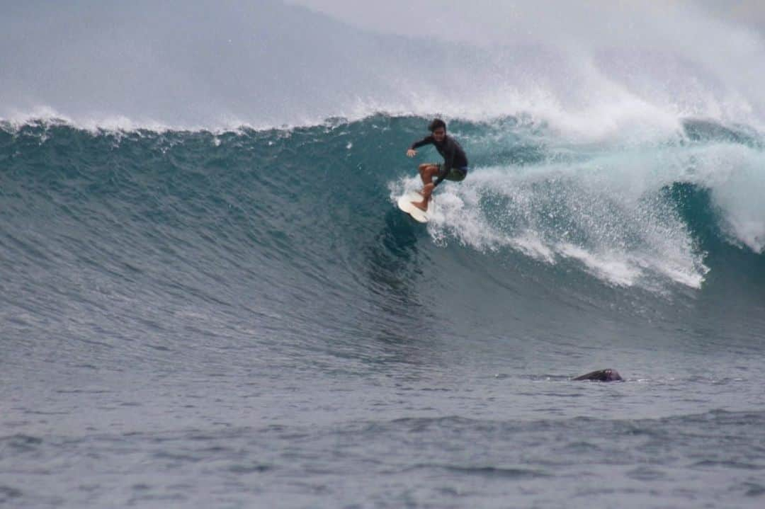 三浦理志さんのインスタグラム写真 - (三浦理志Instagram)「SUMBAWA #surftrip #surf #surfing #indonesia #surfandnorf #sumbawa」2月10日 13時58分 - mar4m