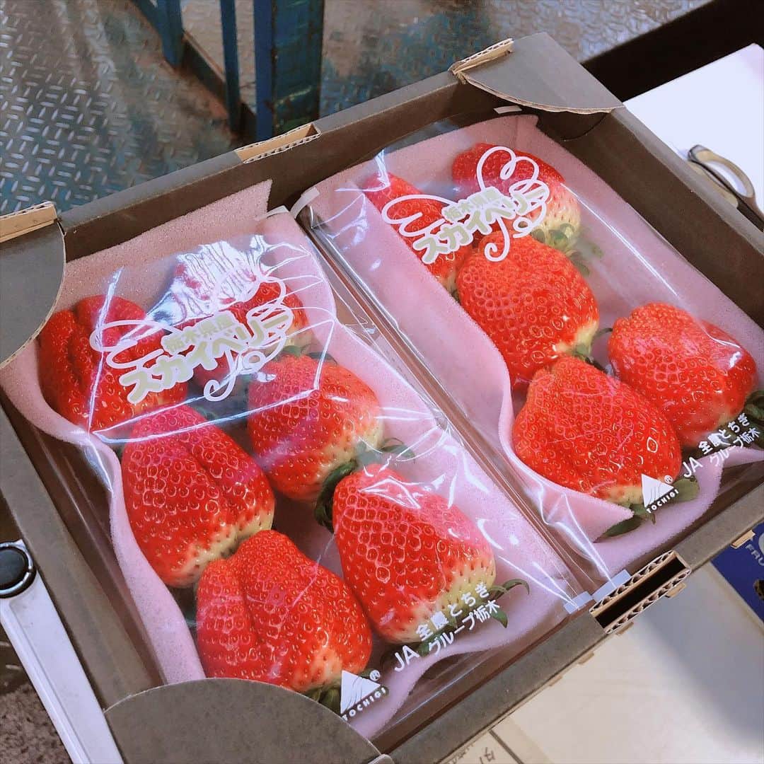 福山恵梨さんのインスタグラム写真 - (福山恵梨Instagram)「私がスポンサーして頂いてる松辰さん！ フルーツ屋さんなんです🍓 なのでロゴマークにもりんごが🍎ついてるんです☺️ ， ， イチゴたくさん頂きました❤️ 実は今が旬でとても美味しいって皆さん知ってましたか？？ ぜひ食べてみてください☆  #松辰 #フルーツ #美味しい❤️」2月10日 8時04分 - erigolferi
