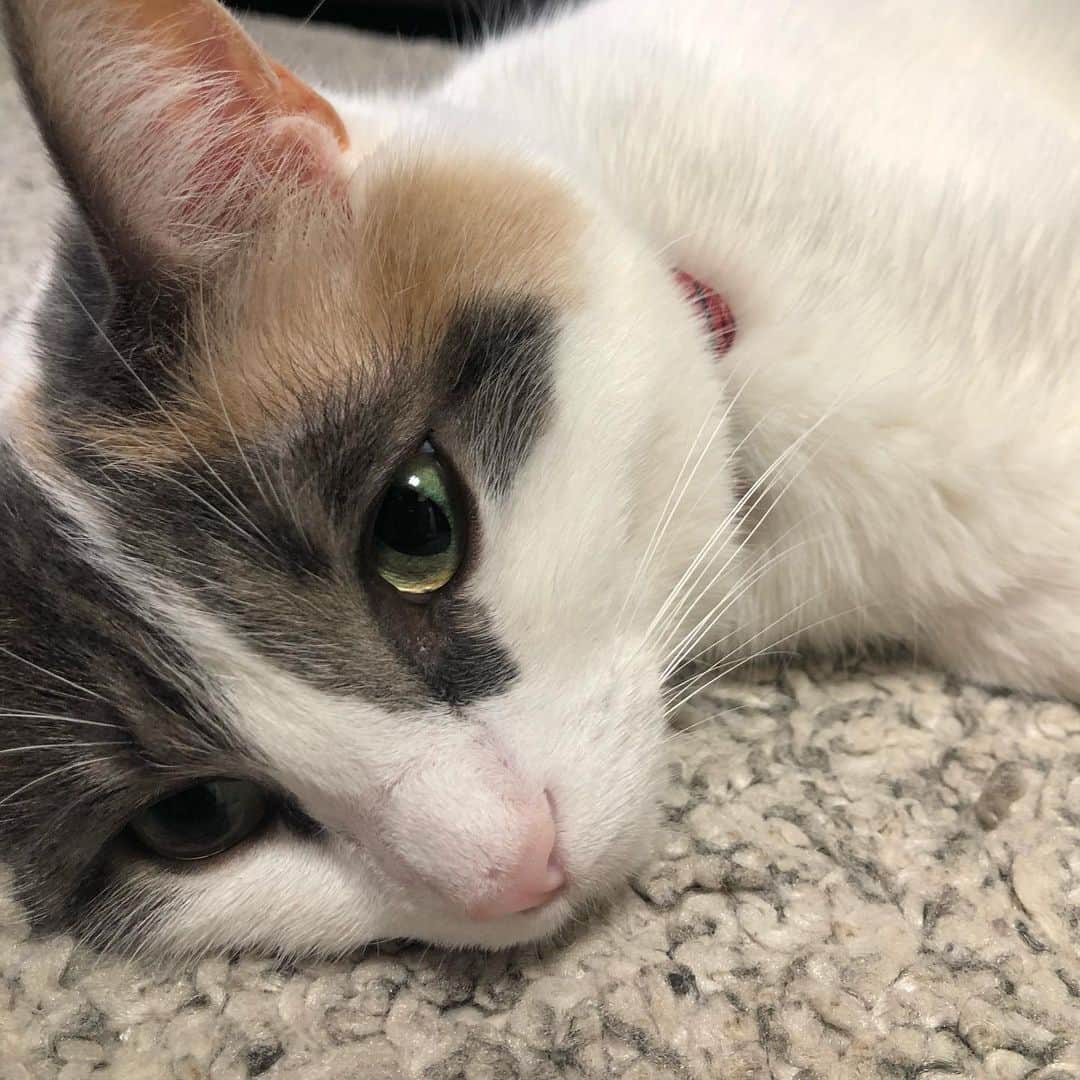 momo0224momomoのインスタグラム