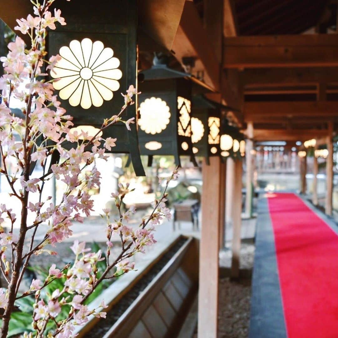 川越氷川神社のインスタグラム