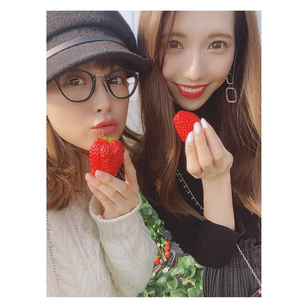 鈴木奈々さんのインスタグラム写真 - (鈴木奈々Instagram)「お兄ちゃんの奥さんも一緒に いちご狩りに行きました🥰🍓🍓🍓 #お兄ちゃんの奥さん #２児のママ  #仲良し❤️」2月10日 10時35分 - nana_suzuki79