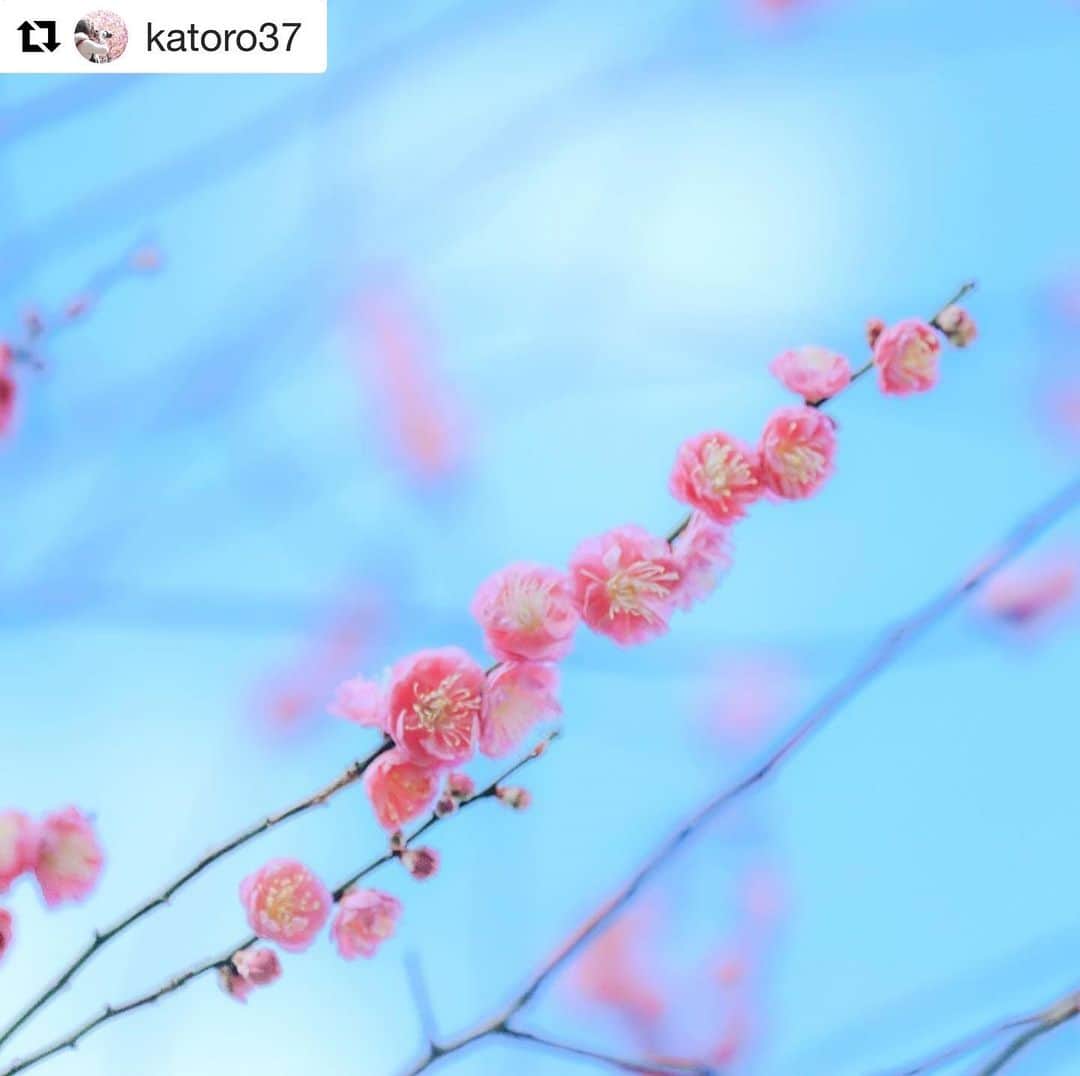 西条市のインスタグラム