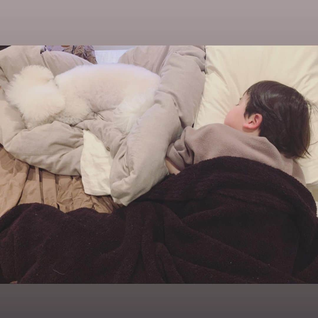 安田美沙子さんのインスタグラム写真 - (安田美沙子Instagram)「昨夜も順調に大暴れしました！ パパが出張で遅かったから、アナ雪を購入して一緒に見たり、畳んだ洗濯物に飛び込んだり、一緒にケーキを作ったり。。 . . . お昼寝しなかったので、羽生くんのクルクル見るーと言ってたのに、羽生くんの出番前で寝てしまった🐶はんなも一緒に。 . . . 一人で見ないといけない日は、お昼寝飛ばすと、早く寝てくれて助かるかも😊✨ . . . #instagood #boy  #32months  #アナと雪の女王 #お膝から見る #字幕バージョン #りんごケーキ #お手伝い #洗濯物 #諦める #はんな #幸せの図」2月10日 10時38分 - yasuda_misako