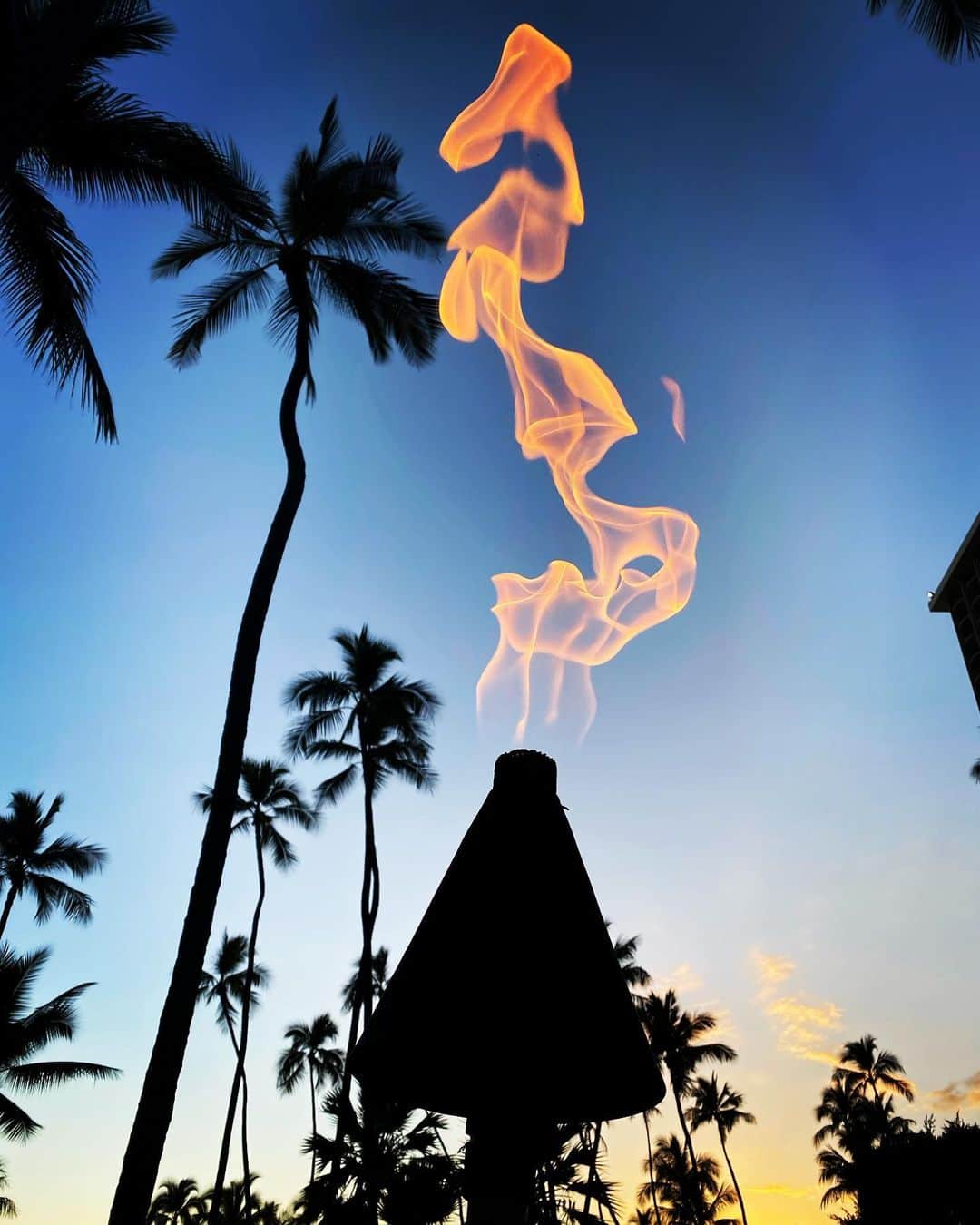 ニッチロー'さんのインスタグラム写真 - (ニッチロー'Instagram)「THE HAWAII  #hawaii  #ハワイ」2月10日 11時08分 - nicchiro5.1
