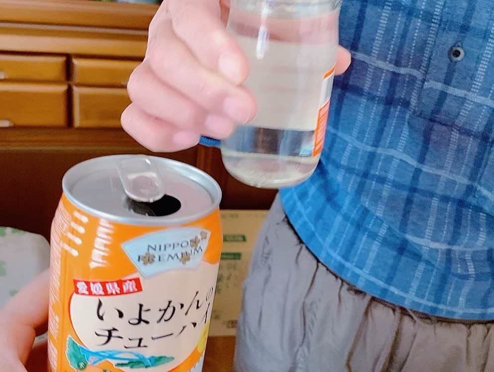 桃乃木かなさんのインスタグラム写真 - (桃乃木かなInstagram)「おじいちゃんおばあちゃん猫さんありがとう☺️🍊 また会いに行く🏃‍♀️」2月10日 11時15分 - kana_momonogi