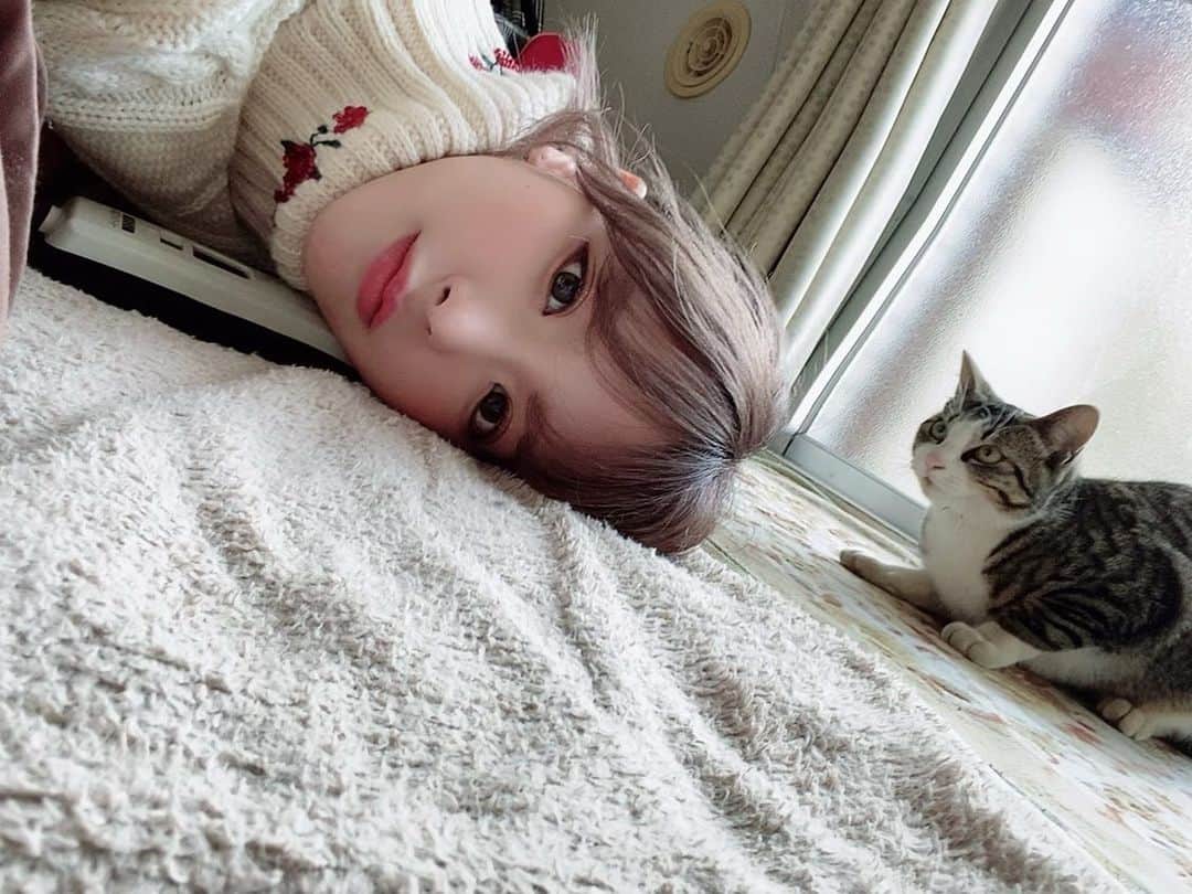 桃乃木かなさんのインスタグラム写真 - (桃乃木かなInstagram)「おじいちゃんおばあちゃん猫さんありがとう☺️🍊 また会いに行く🏃‍♀️」2月10日 11時15分 - kana_momonogi