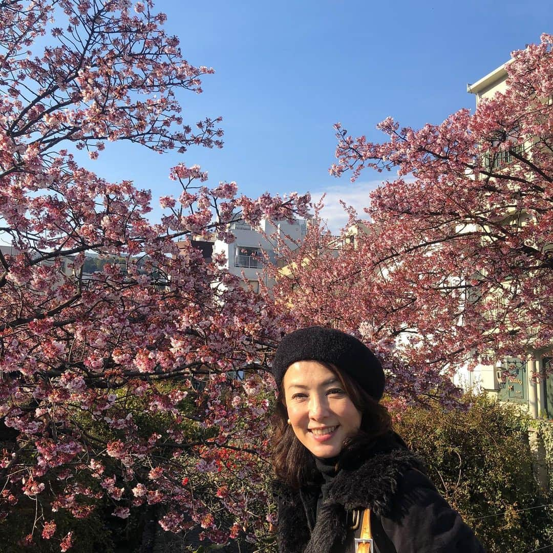 河野景子さんのインスタグラム写真 - (河野景子Instagram)「熱海梅園にて 梅の花の香りに春を感じて。」2月10日 11時18分 - keikokono1112