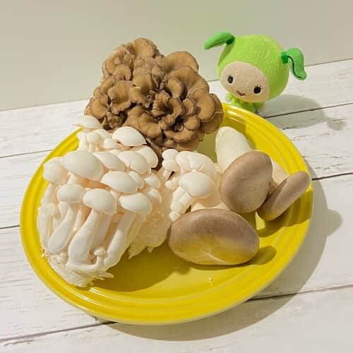 モーリーズのインスタグラム：「‪モリスケです！ランチ食べてる？？‬ ‪ぼくはまだなんだけど、‬ ‪アンナのカフェメニューみてしのいでるよ。。。おいしそーだから、おなかいっぱいの人もぺこぺこの人もぜひ見てね！こちら→ moories.jp だよ！ ‪みんなのランチはなーに？‬ ‪#カフェメニュー ‬ ‪#モーリーズ #ダイナム #モリスケ ‬」