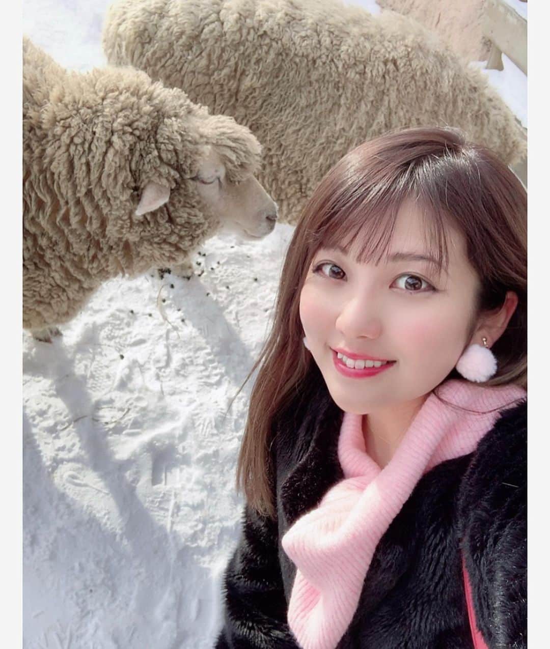 神谷麻美さんのインスタグラム写真 - (神谷麻美Instagram)「#動物園 💖🦓🦒🐏🐅🐆💖 #動物 は#癒し💗 ( ๑⃙⃘ˊᵕˋ๑⃙⃘ ) 💗 #可愛い 💖🦁💖🐯💖 雪の動物は強めだねΣ(ㅇωㅇ )🔥❤」2月10日 12時23分 - asamice428