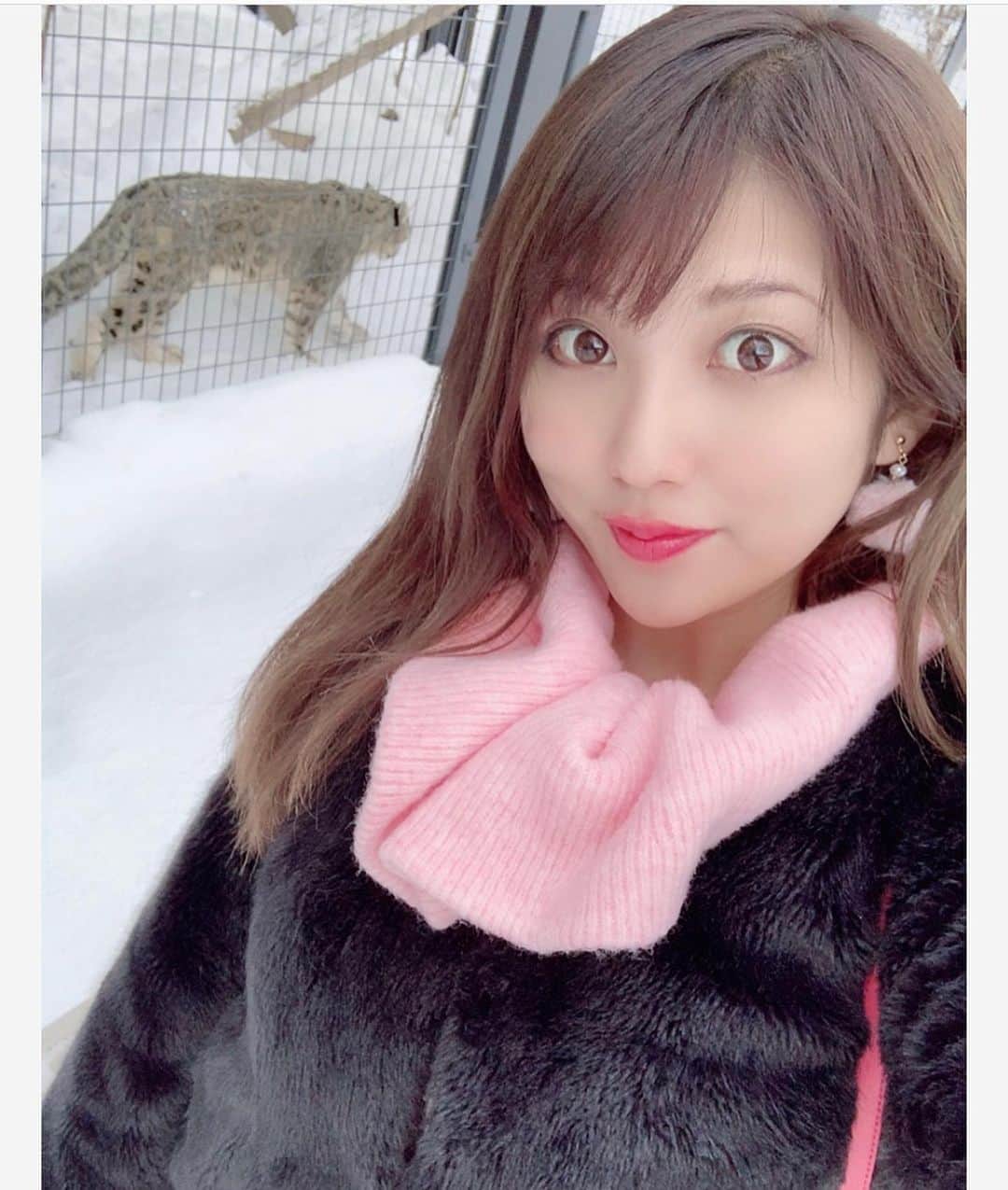 神谷麻美さんのインスタグラム写真 - (神谷麻美Instagram)「#動物園 💖🦓🦒🐏🐅🐆💖 #動物 は#癒し💗 ( ๑⃙⃘ˊᵕˋ๑⃙⃘ ) 💗 #可愛い 💖🦁💖🐯💖 雪の動物は強めだねΣ(ㅇωㅇ )🔥❤」2月10日 12時23分 - asamice428