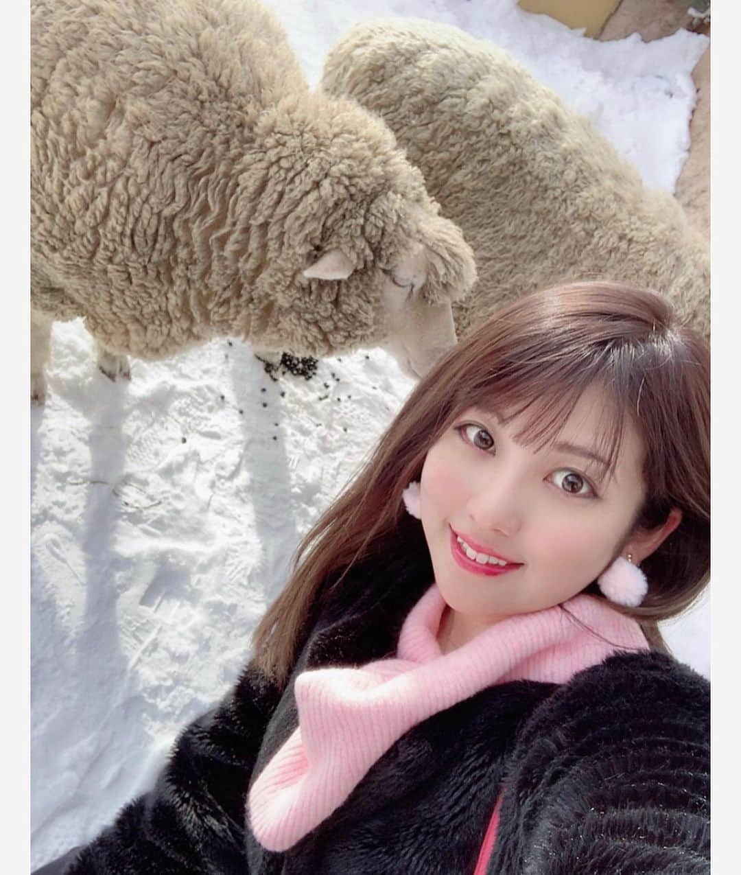 のインスタグラム：「#動物園 💖🦓🦒🐏🐅🐆💖 #動物 は#癒し💗 ( ๑⃙⃘ˊᵕˋ๑⃙⃘ ) 💗 #可愛い 💖🦁💖🐯💖 雪の動物は強めだねΣ(ㅇωㅇ )🔥❤」
