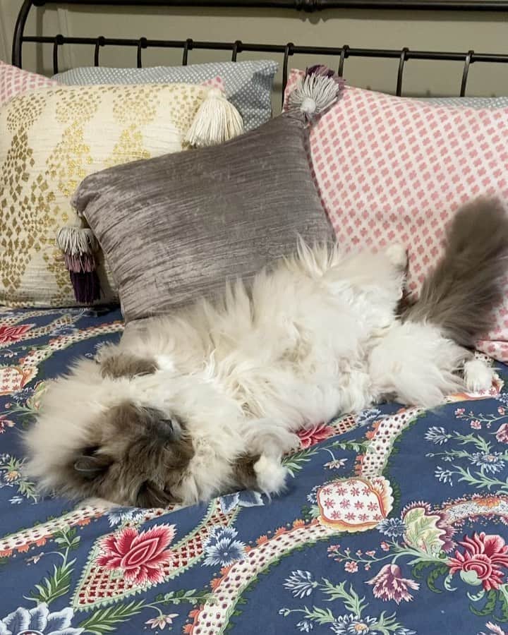 Tinaのインスタグラム：「We feel you George. #Mondays」