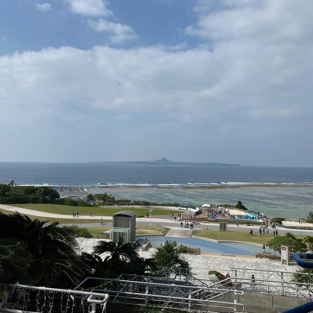 谷口雄也のインスタグラム：「10回沖縄に来てるけど初めて行った。美ら海水族館。そしてアカマタ。ご利益は無いと思う。 #休日の過ごし方  #美ら海水族館  #チンアナゴ  #ウミガメ  #アカマタ  #毒はないよ  #ビビりすぎ  #某レゲエミュージシャンさんのような #マネはできない  #けど大満足  #明日からも頑張ろう」
