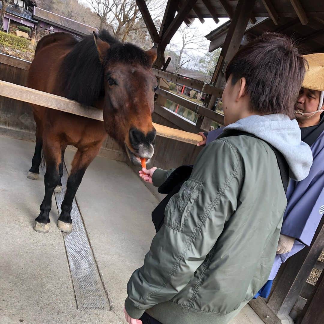 小野崎玲皇のインスタグラム：「お馬さん🦁×🐴 ※れおたは人参嫌い」