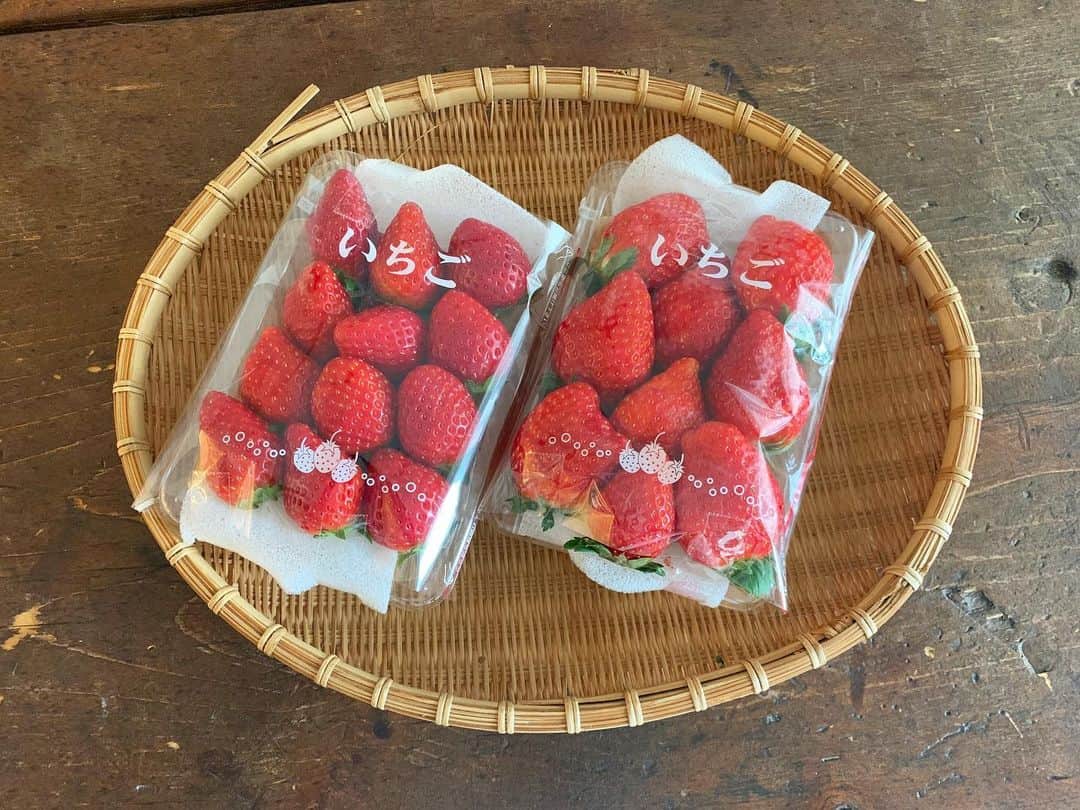のインスタグラム：「三浦半島の摘み立て完熟いちご🍓甘くて香しい🍓❤️ 2枚目はガルちゃん熟睡中💤いつも腕まくらで寝てます。ふかふかでこちらも香しい😻❤️ #garu_cat #ガル様 #嘉山農園」