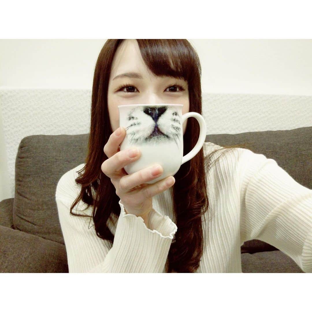 X-PLOSIONさんのインスタグラム写真 - (X-PLOSIONInstagram)「練乳でホットプロテインを作りました♪ ． こんにちは！エクスプロージョンです！ ． 今朝はホエイプロテイン「練乳味」をホットにして飲みました♪ ． 練乳味で色々試してみましたが、水を少なめに溶かしとろとろ状態で飲んだ時が一番美味しかったです🍼✨ ． ーーーーーーーーーーーーーーーーーーーーーーーー ． 土曜日はデッドリフトで行いました！動画は160kg×1回、120kg×11回（3セット目）です💪 最近150〜155kgで停滞していたので、160kg挙がって喜んでしまいました☺️ ． ． 上手くいかない時も諦めないで試行錯誤し、1つ1つ改善していくと停滞を突破できると思います。 ． 落ち込まず、焦らず、できない自分も全部受け止めて落ち着いて考えられたらきっと上手くいきます😌 ． ． （ケーキはバレンタインということで貰いました❤️） ． いつもいいねやコメント、ストーリーへの掲載ありがとうございます♪ 次の投稿もお楽しみに… . ． 【女性限定！】横浜で一緒に合同トレしませんか？？ エクスプロージョン女子と一緒にトレーニングしたい女性の方大募集！気になる方はメッセージ下さい！ ． #エクスプロージョン#xplosion  #エクスプロージョンプロテイン #プロテイン #ホエイプロテイン #プロテイン女子 #たんぱく質  #練乳　#プロテイン生活 #筋肉 #筋肉女子 #筋トレ #筋トレ女子 #トレーニング #トレーニング女子 #トレーニング動画 #training #workout #コスパ　#朝プロテイン #デザート #デッドリフト  #デッドリフト動画 #起立筋 #ケーキ #バレンタイン #脚トレ #背中トレ #トレーニングメニュー #筋トレ部」2月10日 16時57分 - x_plosion_protein