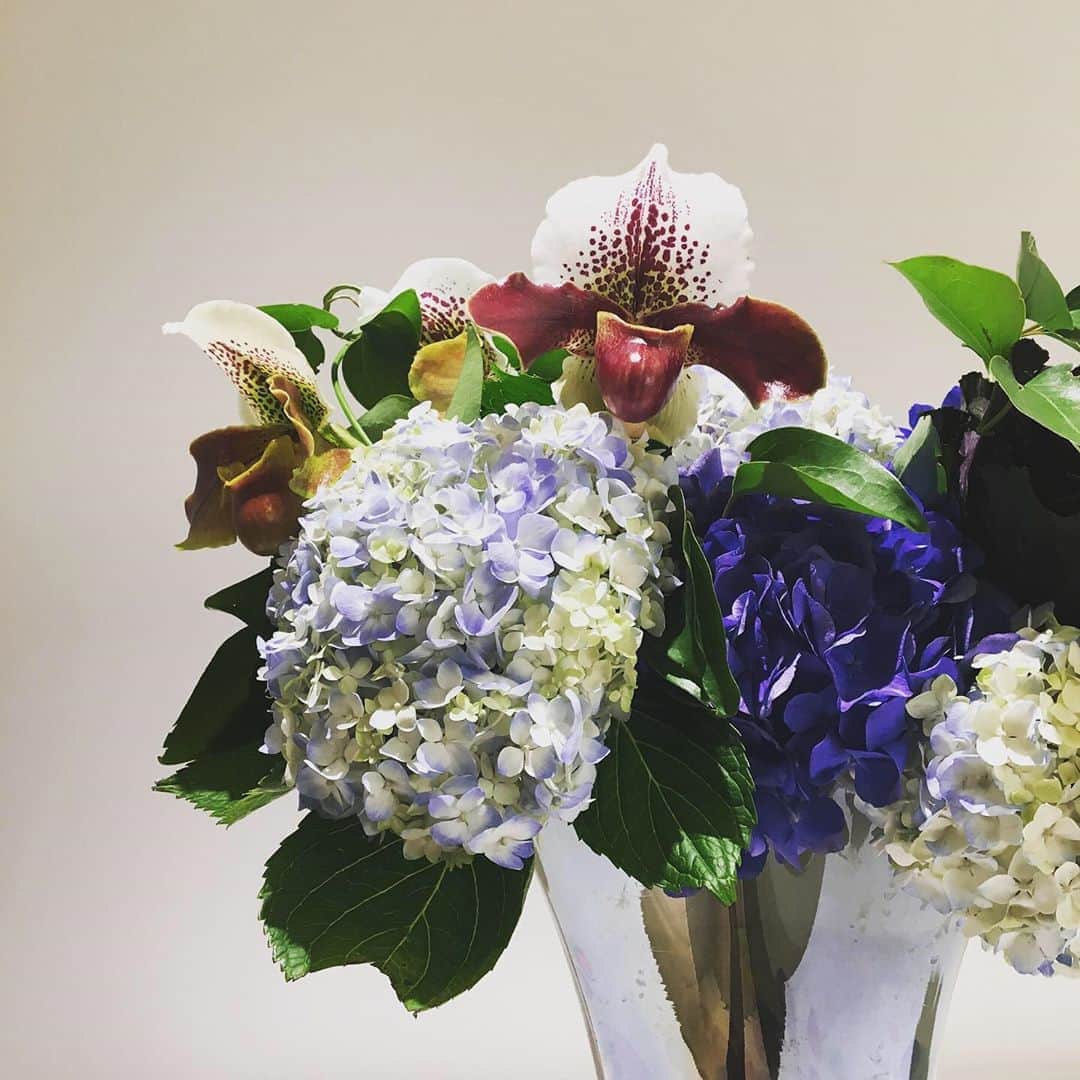 ルミネ公式のインスタグラム：「1月8日からのルミネのテーマは、『Poetic Spring　華麗なる花』 ヨーロッパの古典的な要素をインスピレーション源に、古い良き時代の文化や思考に注目。 アートやカルチャーを通して、知性や感性を磨く時間を大切に。 日常に小さな美や詩情を取り入れ、華やかで美しい春の気配を満喫しましょう。 . 今週のフラワーアレンジメントは、華やかで美しい春をテーマにリッチでクラシカルな雰囲気にしました。 . #花#お花#花がある暮らし#花のある生活#花が好きな人と繋がりたい#フラワーアレンジメント #flower#flowerarrangement#アジサイ#葉ボタン#パフィオ#仙人草#ルミネの花 @fuga_tokyo」
