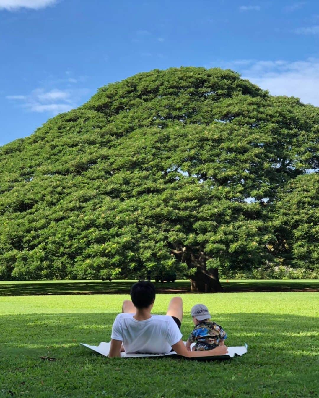 丸山祐市さんのインスタグラム写真 - (丸山祐市Instagram)「遅くなりましたが、年末にハワイに行きました✈️ 息子は初めての旅行😁最高でした👍  #ハワイ旅行  #あっという間 #進にも会ったよ #時差ボケ、なかなかとれず #海・プールデビューするも #ギャン泣き  #ハワイいいね  #また行きたいね  #オススメあったら教えてください‼️」2月10日 18時23分 - yuichi_maruyama.616