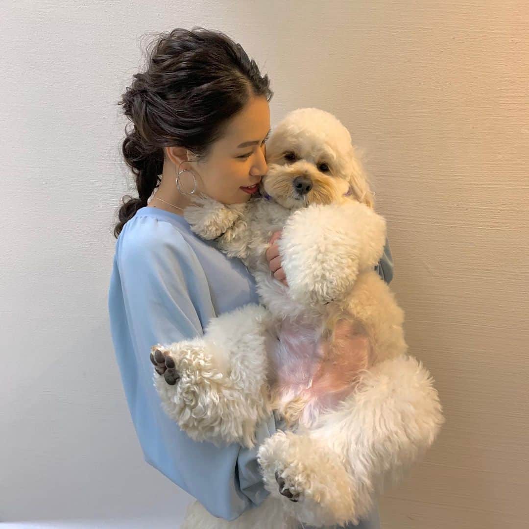 稲垣香澄のインスタグラム：「🐻🐻🐻🤍🤍🤍」