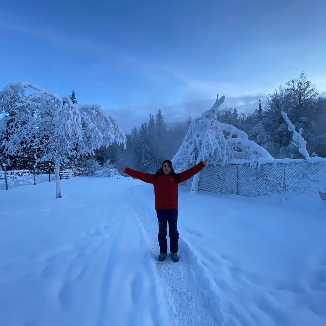 長谷川朋美さんのインスタグラム写真 - (長谷川朋美Instagram)「雪の中の温泉@アラスカ ♨️ からの、雪の中の#トレッキング ✨ ・ 寒いところ嫌いでしたが、 アラスカは大好きになりました🥰 ・ 自然って素晴らしい✨ そう思える体験が詰まってた✨ ・ ありがとう❤️ 今帰国✈️ ・ #AKASKA #hotsprings #温泉 #アラスカ #fairbanks #フェアバンクス #snow #雪 #chenahotsprings #雪にダイブ #dive」2月10日 18時30分 - hasegawa.elena.tomomi