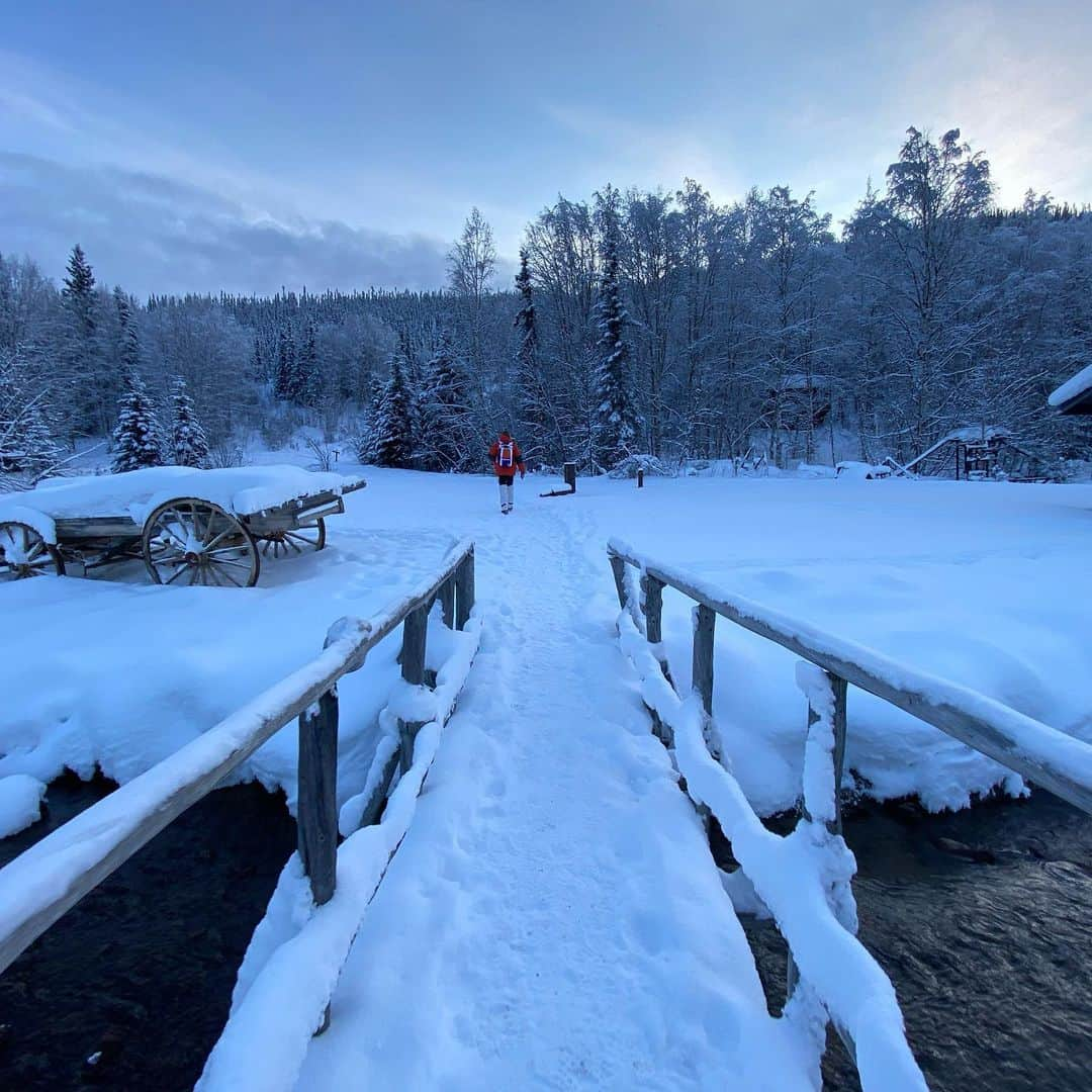 長谷川朋美さんのインスタグラム写真 - (長谷川朋美Instagram)「雪の中の温泉@アラスカ ♨️ からの、雪の中の#トレッキング ✨ ・ 寒いところ嫌いでしたが、 アラスカは大好きになりました🥰 ・ 自然って素晴らしい✨ そう思える体験が詰まってた✨ ・ ありがとう❤️ 今帰国✈️ ・ #AKASKA #hotsprings #温泉 #アラスカ #fairbanks #フェアバンクス #snow #雪 #chenahotsprings #雪にダイブ #dive」2月10日 18時30分 - hasegawa.elena.tomomi