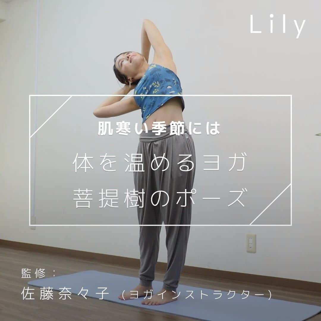 Lilyのインスタグラム