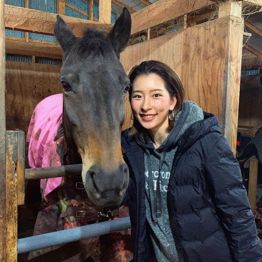 藤田美里のインスタグラム：「. お馬さん🐴  お利口で可愛い🧡 . #馬#乗馬#動物好き」