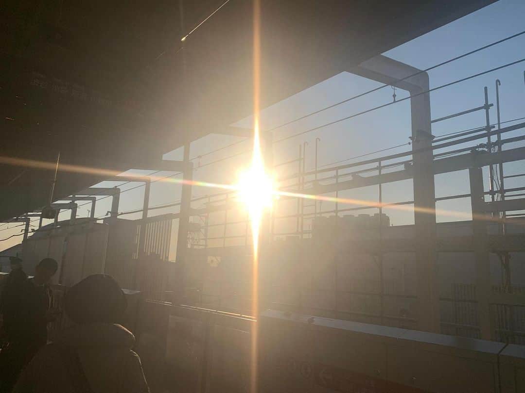 津島衣里さんのインスタグラム写真 - (津島衣里Instagram)「今日の日差し。 #てんきよしこちゃん」2月10日 19時36分 - eritsushima_official