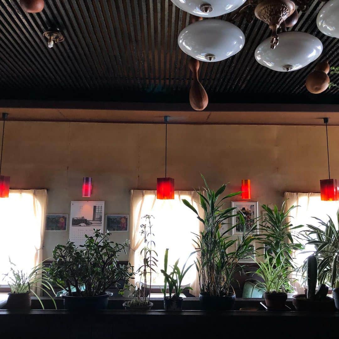 能町みね子さんのインスタグラム写真 - (能町みね子Instagram)「#喫茶メモ 播磨野村 リラ/ ミルクセーキなし/ 開店して50年。できたときは周りになんもなくて田んぼの中やったそうです。ひょうたん作るのが一時期流行ったから天井がひょうたんだらけ。演歌歌手の灘みやこさんが月1で来るたびに中村美律子さんのサインを持ってくるのでお店は中村美律子サインがたくさん、地元出身の若光翔関のサインもあります(貴重)」2月10日 20時01分 - nmcmnc