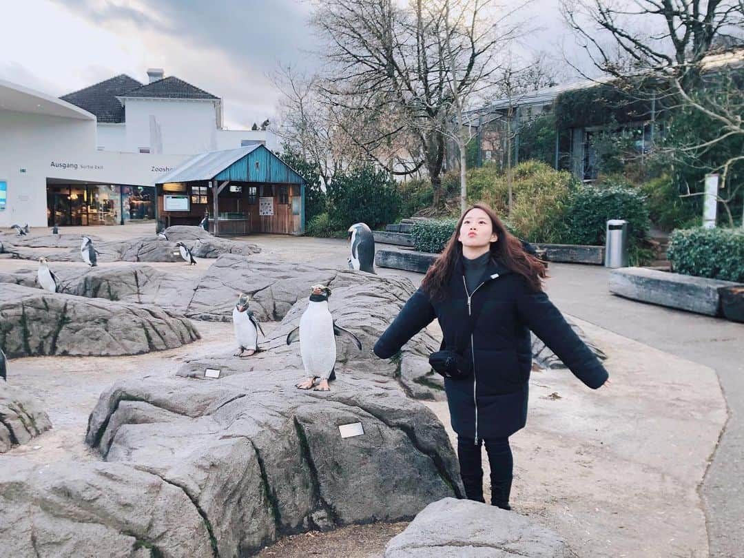 ハン・スンヨンさんのインスタグラム写真 - (ハン・スンヨンInstagram)「#zurich 는 동물원이지 본격 스위스에서 바다 그리워하기」2月10日 20時25分 - thesy88