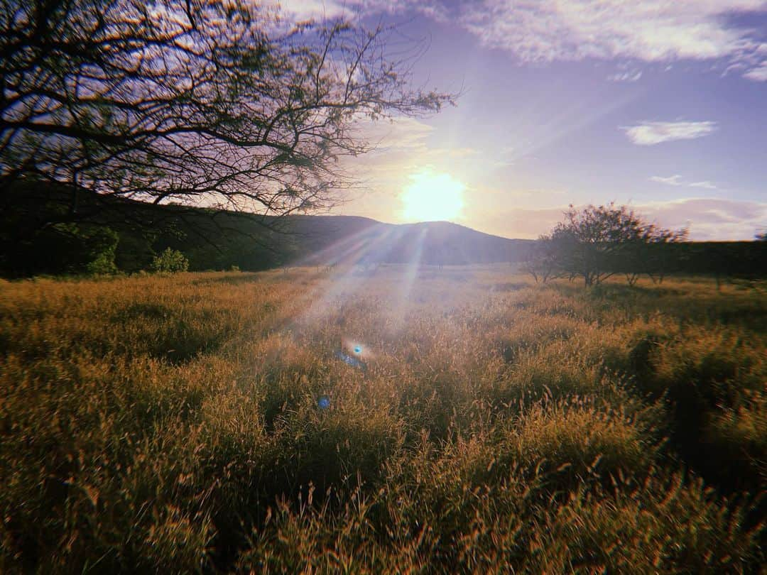 北出ゆいさんのインスタグラム写真 - (北出ゆいInstagram)「HAWAII🌞🌴絶景🏖🌺 . #ハワイ#hawaii#diamondhead  #ホノルル#」2月10日 20時41分 - yuiyui_nstagram