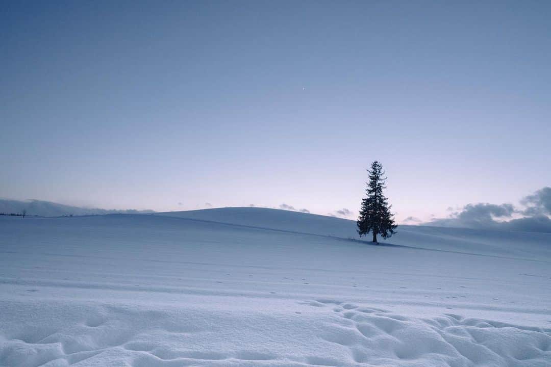 Hikaruさんのインスタグラム写真 - (HikaruInstagram)「Tree of a Christmas tree🌲 . . . 美瑛の風景がとても好きになった冬。 . . #美瑛 #美瑛の丘 #ツァイス写真部  #ツァィス  #カールツァイス  #pl #nationalparksjp #instagram #instagramjapan #igersjp #東京カメラ部 #tokyocameraclub #natgeo #pashadelic #naturephotography #naturegeography #photogrena_nature #photo_shorttrip #japan #hokkaido #写真好きな人と繋がりたい #北海道 #Japan_ilc #sony #bealpha #SonyAlpha #SonyImager  #NiSi #nisifilters #nisifiltersjapan」2月10日 20時46分 - hikaru__satoh