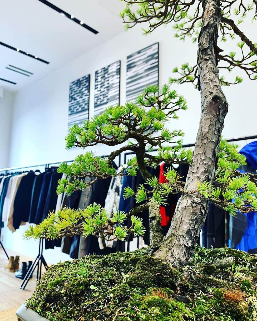 小川哲史のインスタグラム：「@forsomeone_official SS20入荷しております💡 是非一度ご来店下さい🙇🏻 #FORSOMEONE」