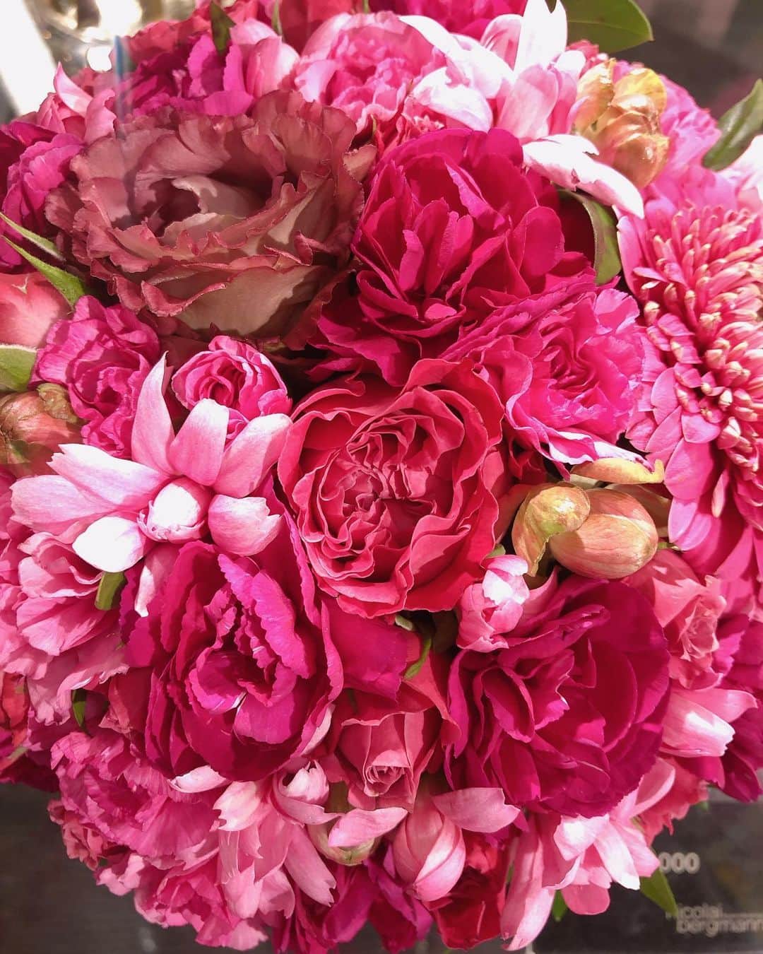 江連裕子さんのインスタグラム写真 - (江連裕子Instagram)「. Flower 🌸 . #花 #花のある暮らし #花束 #ニコライバーグマン #nicolaibergmann #flower #flowerstagram #flowerarrangement #flowerphotography」2月10日 21時29分 - yuko_ezure