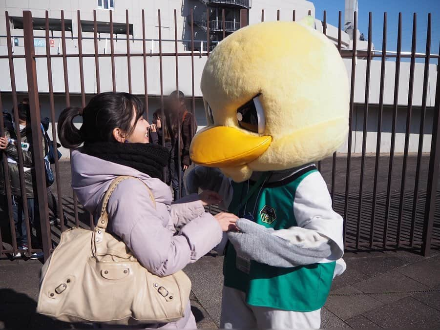 今井安紀さんのインスタグラム写真 - (今井安紀Instagram)「Last weekend I went to Saitama Stadium to participate in Xerox Super Cup 2020. My purposes were to watch soccer game, eat stadium-gourmet food, meet friends and meet MASKOTS!!! 週末はゼロックススーパカップに参加しに埼玉スタジアム2002へ。スタグル食べて知人に会ってマスコットと戯れまくって楽しかったです。 ・サッカー自体はほとんど見られず。ゼロックスは個人的に人とマスコットに会うことの優先度が上がってしまうので仕方がない。 ・一番の目的であるギランさん。お名刺ができてました。ボードは小倉に今年何回来るの？って聞かれたから「1回は行く」と言ったら「3回来い」と言われた。出張費くれって言ったら「じゃぁ1回でいいや」と言われた、の図。 ・地元仙台のベガッ太さん。会話してるところも撮ってくれてアテンドさんありがとうございます。 ・ジンベーニョさんは今年も薄っぺらかった。(物理的に) ・ガミティがノリノリでびっくり。2ショット撮ることになったら「手乗せてよここに」って。イケバードか。 最後の写真は「あたしの地元仙台なんだけどさ、ガミティ萩の月みたいー！！」ってやって遊んでます。 こちらもたくさんナチュラルなところ撮っていただきアテンドさんありがとうございました。 他にも載せきれないほど楽しくて美味しい時間を過ごせ、いいリフレッシュできました。  #xeroxsupercup #jleague #soccer #soccergirl #mascot #olympuspenepl9 #latergram #オリンパスペンepl9 #埼玉スタジアム2002 #ゼロックススーパーカップ #マスコット大集合 #マスコット #ベガッ太さん #ギランさん #鳥の会 #Jリーグ鳥の会 #ジンベーニョ #ガミティ #萩の月ではない」2月10日 21時44分 - i_am_akinyan0826