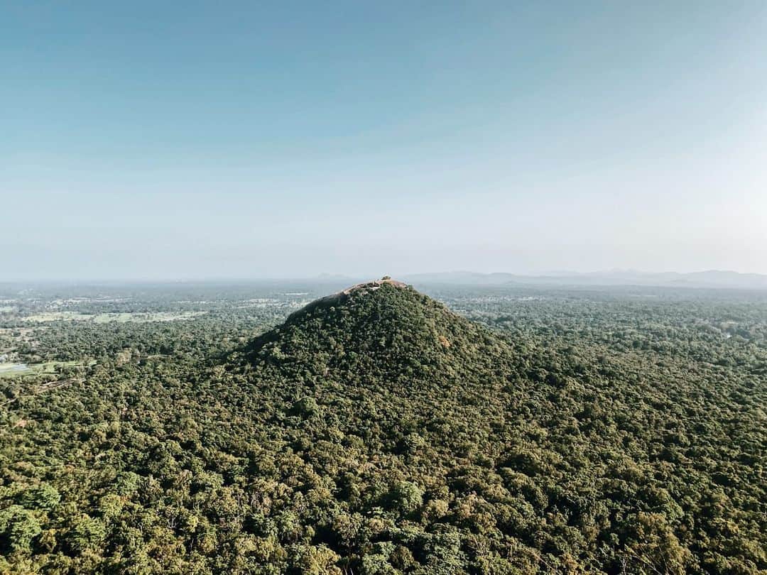 三浦大地さんのインスタグラム写真 - (三浦大地Instagram)「From SIGIRIYA⛰  スリランカには豊かな大自然の緑がどこまでも広がっている。  #srilanka #sigiriyarock #sigiriya #earth #大地球散歩」2月11日 8時34分 - daichi_1127