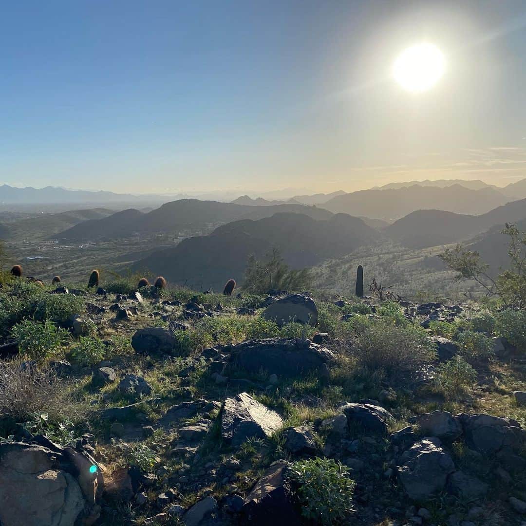 ジム・アドキンスのインスタグラム：「February. Oh yeah, this is why I live in Arizona again.」
