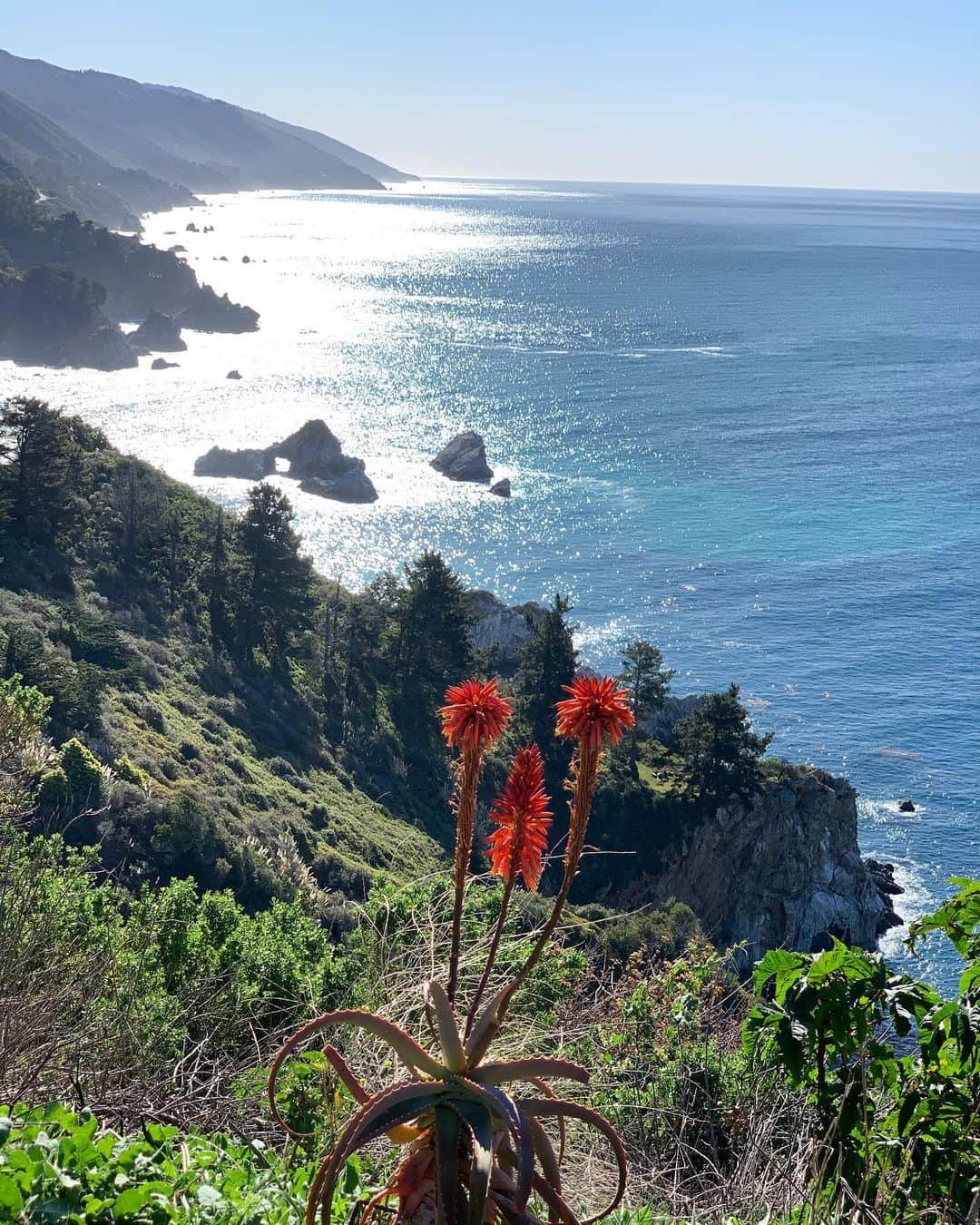 マンディクーンのインスタグラム：「I will never get over the fact that this is my morning commute... 🙏」