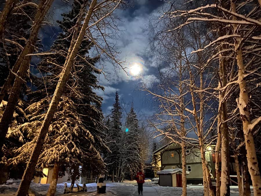 長谷川朋美さんのインスタグラム写真 - (長谷川朋美Instagram)「アラスカで見た＃オーロラ と#月 ✨なんて神秘的🌔 ・ 薄いけど夜空に広がるグリーンの光の帯を 見ることができました☺️ ・ これを見るのに毎晩朝方まで起きてたけど、 結果3泊のうち、2晩は見えた✨ ・ 写真後半はオーロラの出現の待機場所。 スノボ行った時の山の中腹にある レストランみたいなイメージ。 ・ 写真は閑散としていますが、 夜中は様々な国の方で賑わっていましたよ❣️ ・ 今回見られて大満足ですが、もっとはっきり見てみたい気もするので、いつかは#フィンランド かな⁉︎ ・ オーロラ以外にも楽しめることたくさんあったので、 今回の旅は大満足でした✨ ・ #moon #月 #オーロラ #aurora #AKASKA #hotsprings #温泉 #アラスカ #fairbanks #フェアバンクス #snow #雪 #chenahotsprings #nature」2月11日 7時01分 - hasegawa.elena.tomomi