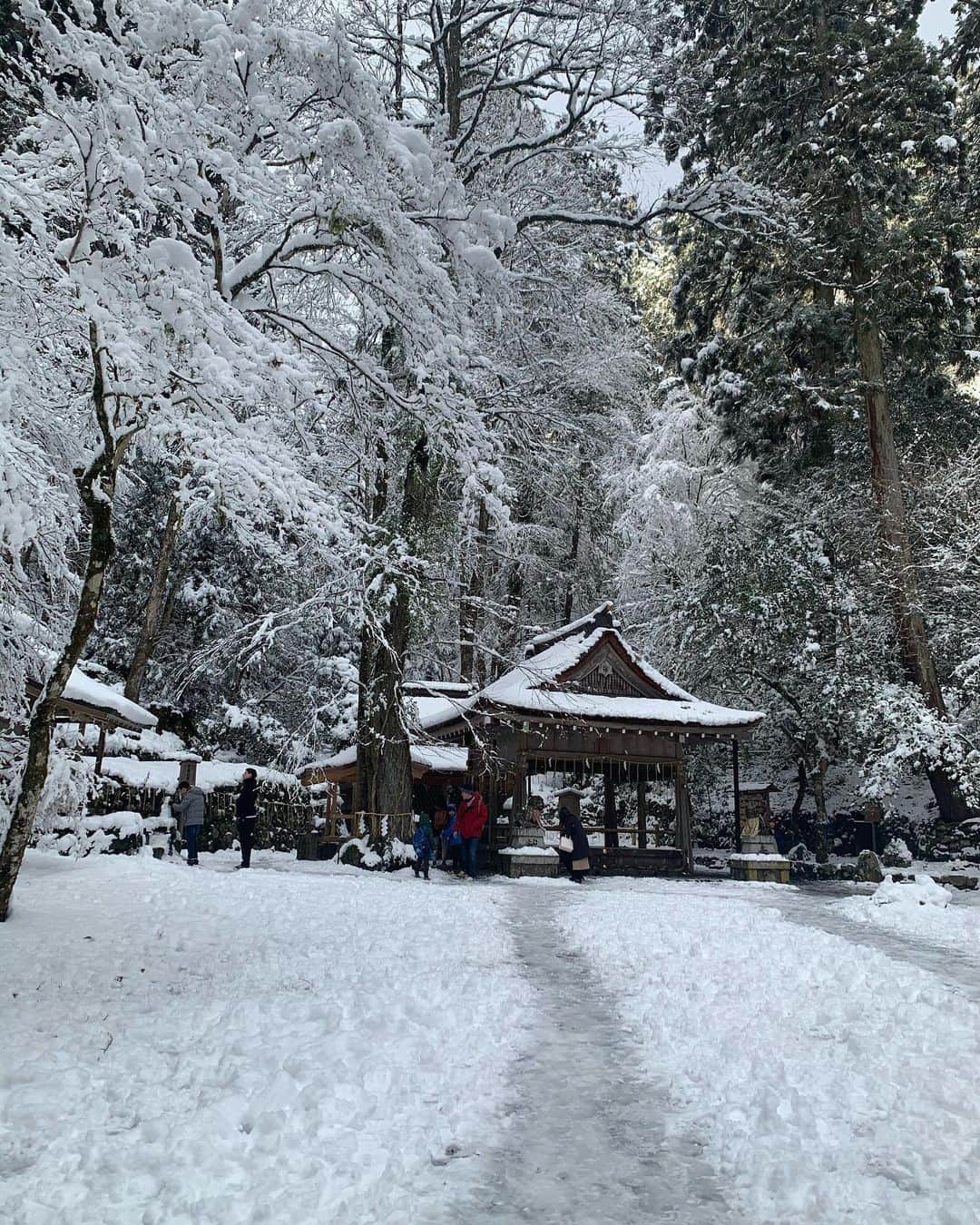 神尾葉子さんのインスタグラム写真 - (神尾葉子Instagram)「貴船神社へお参り⛩ 雪が降ってて寒かった…☃️ すごく綺麗でした。  #京都 #貴船神社」2月11日 7時31分 - yoko.kamio