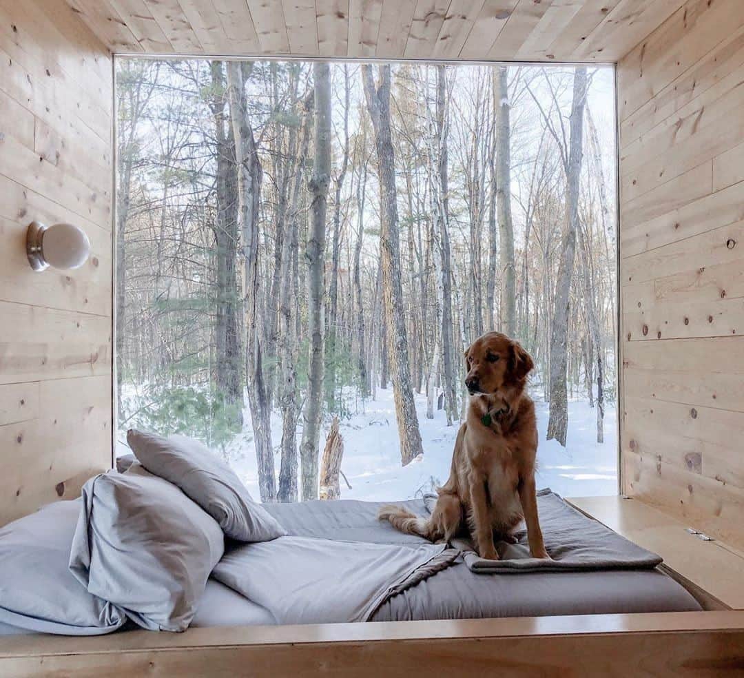 Airbnbさんのインスタグラム写真 - (AirbnbInstagram)「The toughest part of your stay in this cozy cube of a tiny cabin is posing for a picture when you’d rather be staring out the window and wagging your tail. You and your two-legged pals will also love roaming the trails of Big Falls County Park, just 10 minutes away.  Photo: @goldenlifeofleroy」2月26日 3時00分 - airbnb