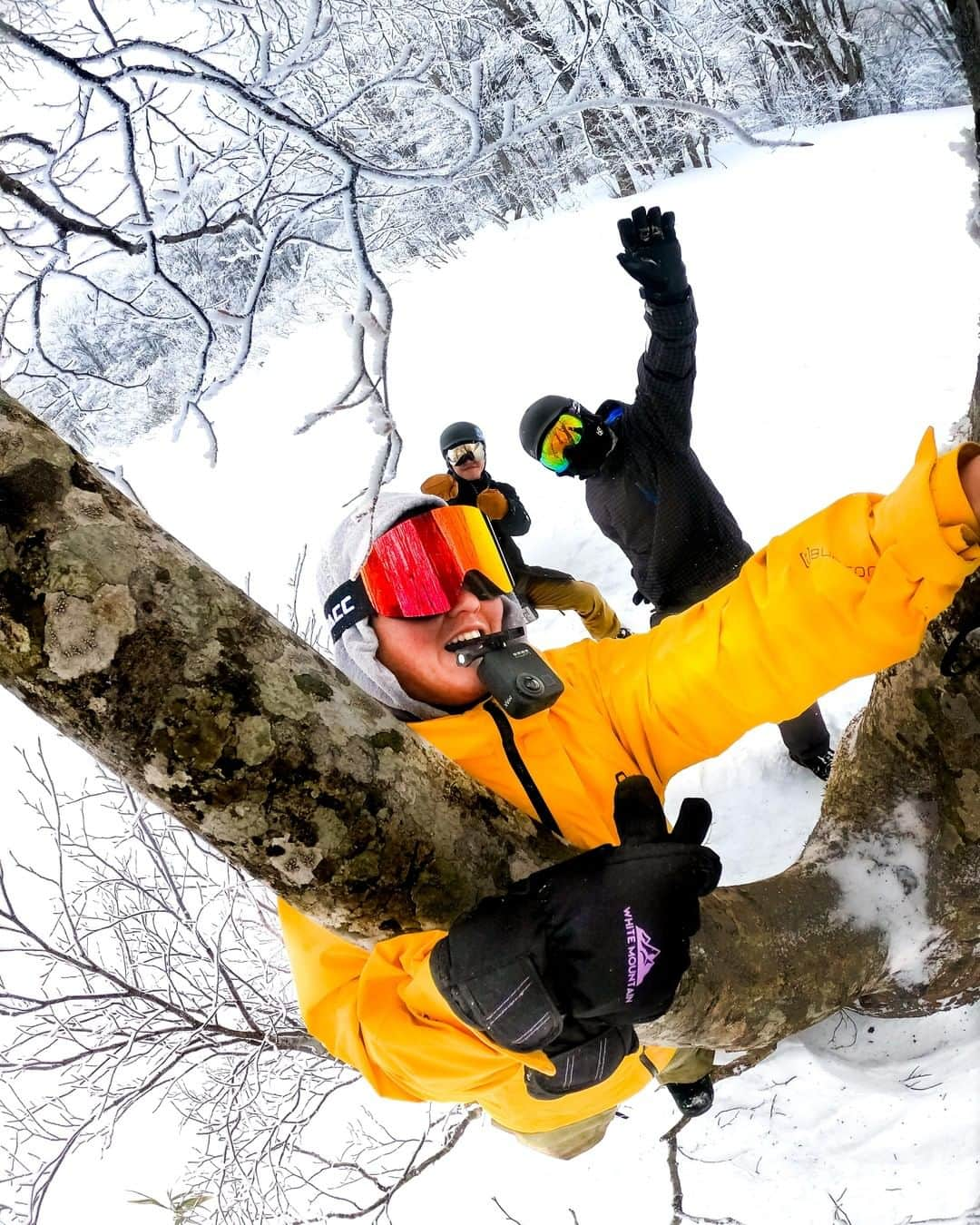 GoProさんのインスタグラム写真 - (GoProInstagram)「スノボーからひと息。仲間とBCの状態をチェック 🌲❄️ ・ 📷 #GoProExperience イベントから @sugi_y13 の一枚。 📍 #アルツ磐梯スキー場 ・ ・ ・ @altsbandai #アルツ磐梯 #GoPro #GoProJP #GoProSnow #GoProのある生活 #スノボー #スキー #福島」2月25日 18時21分 - goprojp