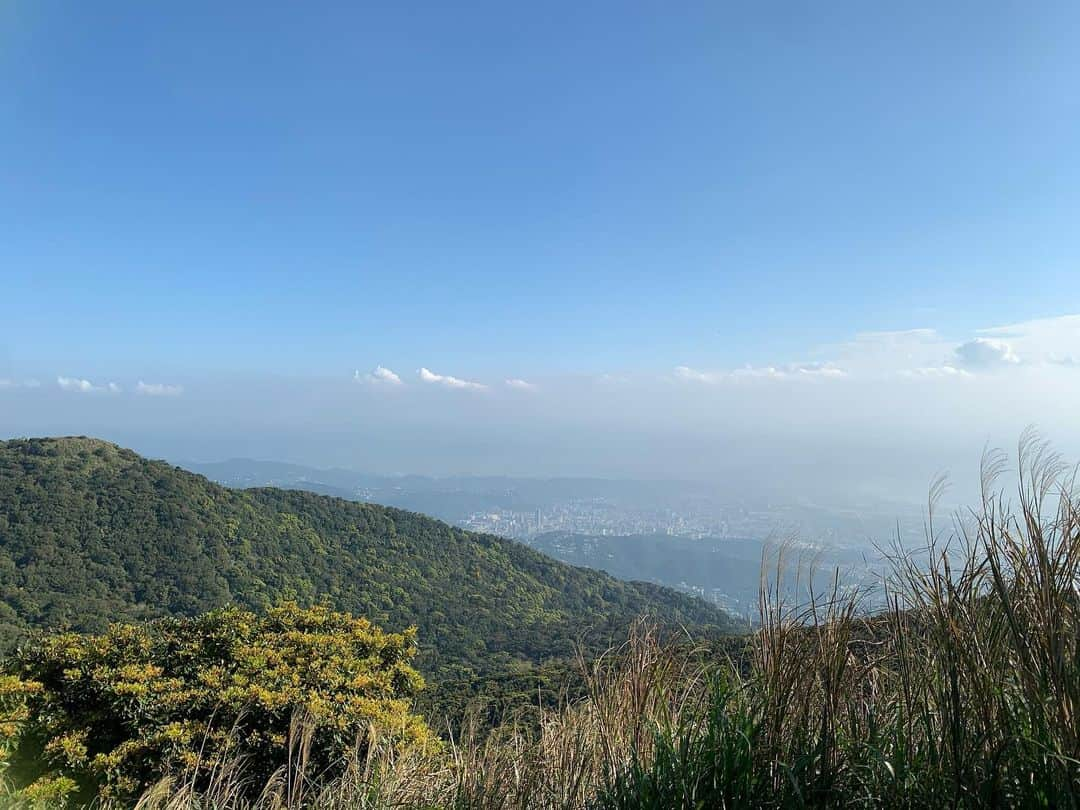 大久保麻梨子さんのインスタグラム写真 - (大久保麻梨子Instagram)「登山してきました。自然に触れると免疫力が高まるそう。毎日ニュースを目にすると気持ちが滅入りそうになりますが、そんな時こそ楽しい気持ちでいることを心がけて過ごしたいと思います。 台湾にはすぐそこに大自然を感じられる場所がたくさんあるのも魅力です！  天氣舒服說走就走登山去！ 賺到美好風景和清新空氣，心情好起來，免疫力也一定會提升吧✌🏻 台灣真的是寶島呢✨ ............................................................................................................... #hiking #taiwan #taiwantravel #taiwanmountain #taiwantrip  #mountains #mountainview #mountainclimbing #mountainclimbers #登山 #登山好き #登山女子 #登山初心者 #登山好きな人と繋がりたい #登山が好き #山登り #爬山 #野外 #運動 #健身 #健身女孩 #自然 #自然が好き #自然好き #自然大好き #アウトドア #アウトドア好き #台湾 #アウトドア女子 #山」2月25日 19時09分 - marilog0907